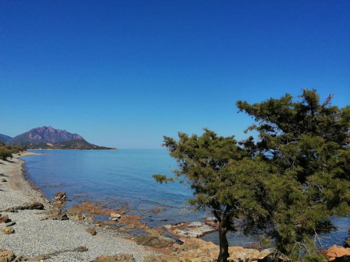 Villa Bianca Tertenìa Dış mekan fotoğraf