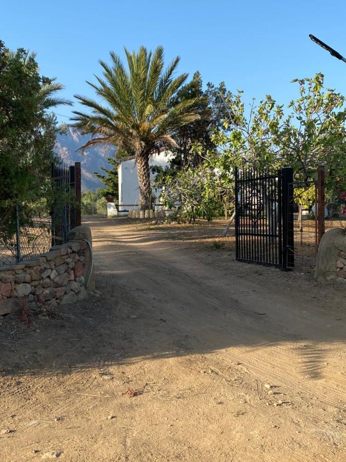 Villa Bianca Tertenìa Dış mekan fotoğraf