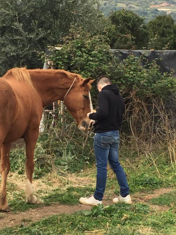 Villa Bianca Tertenìa Dış mekan fotoğraf